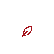 Sustainable packaging