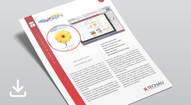 WebVision brochure